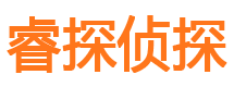 宁城侦探公司